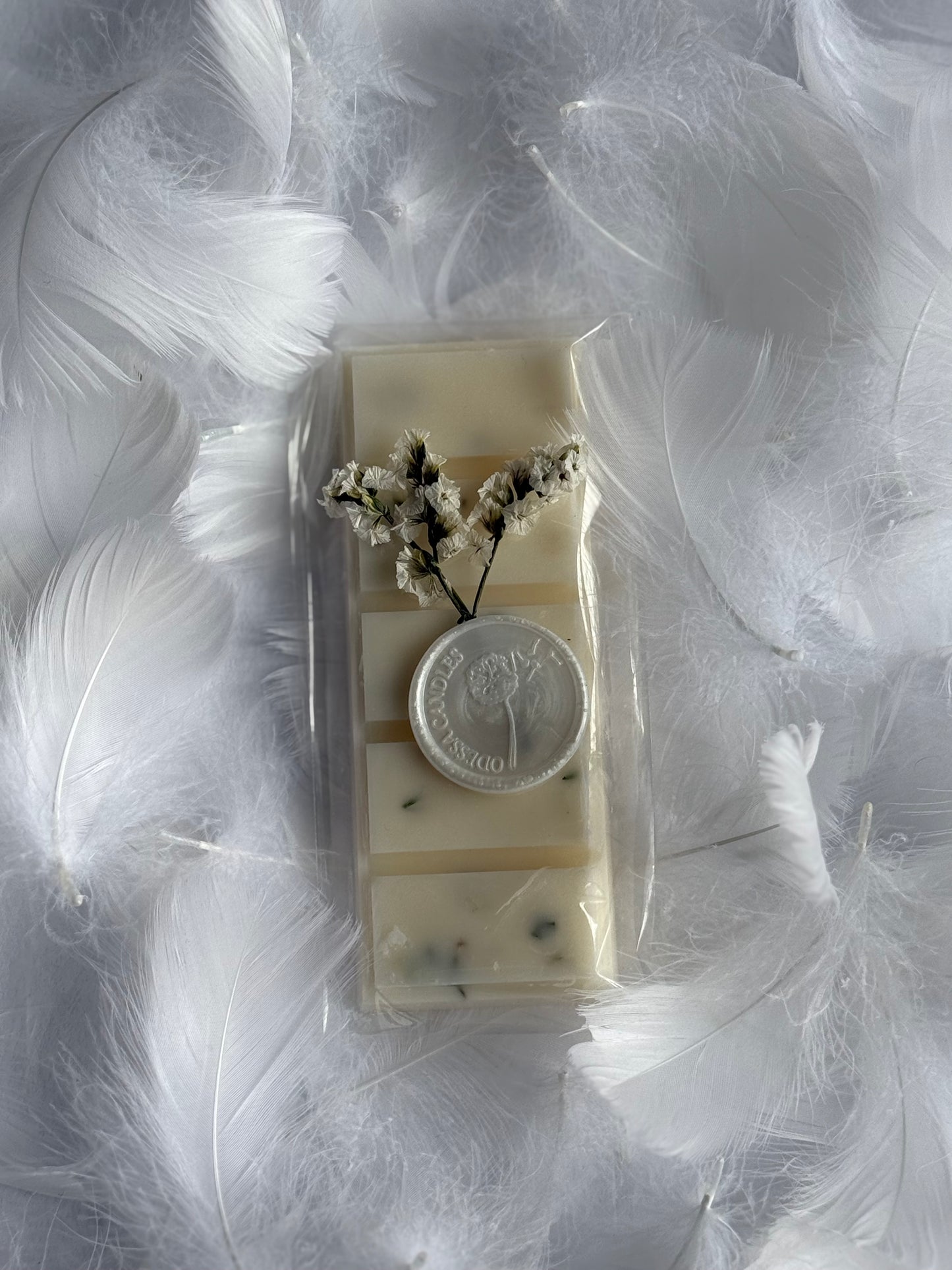 Ocean Wax Melt (Set of 2)