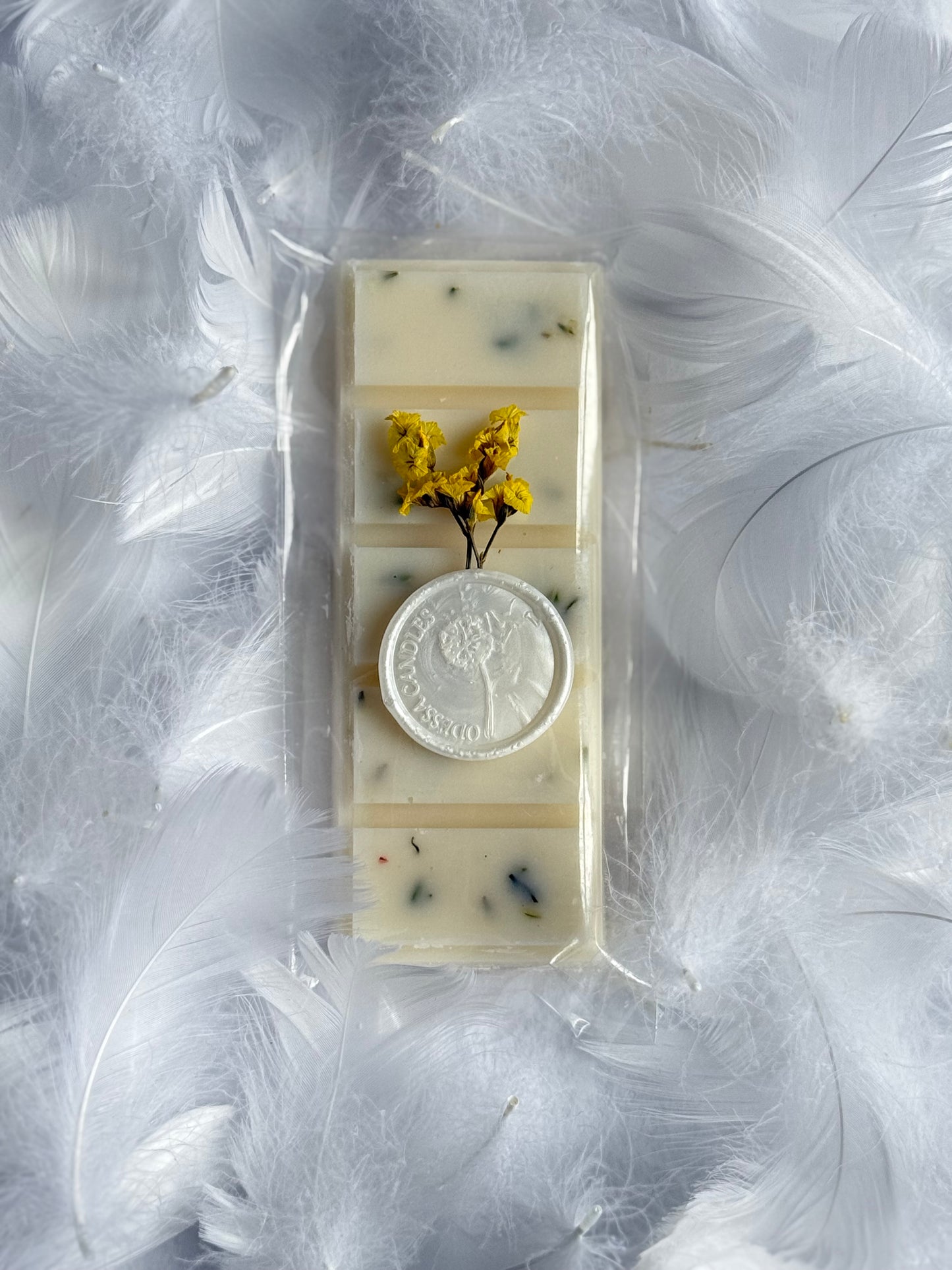 Vanilla Wax Melt (Set of 2)