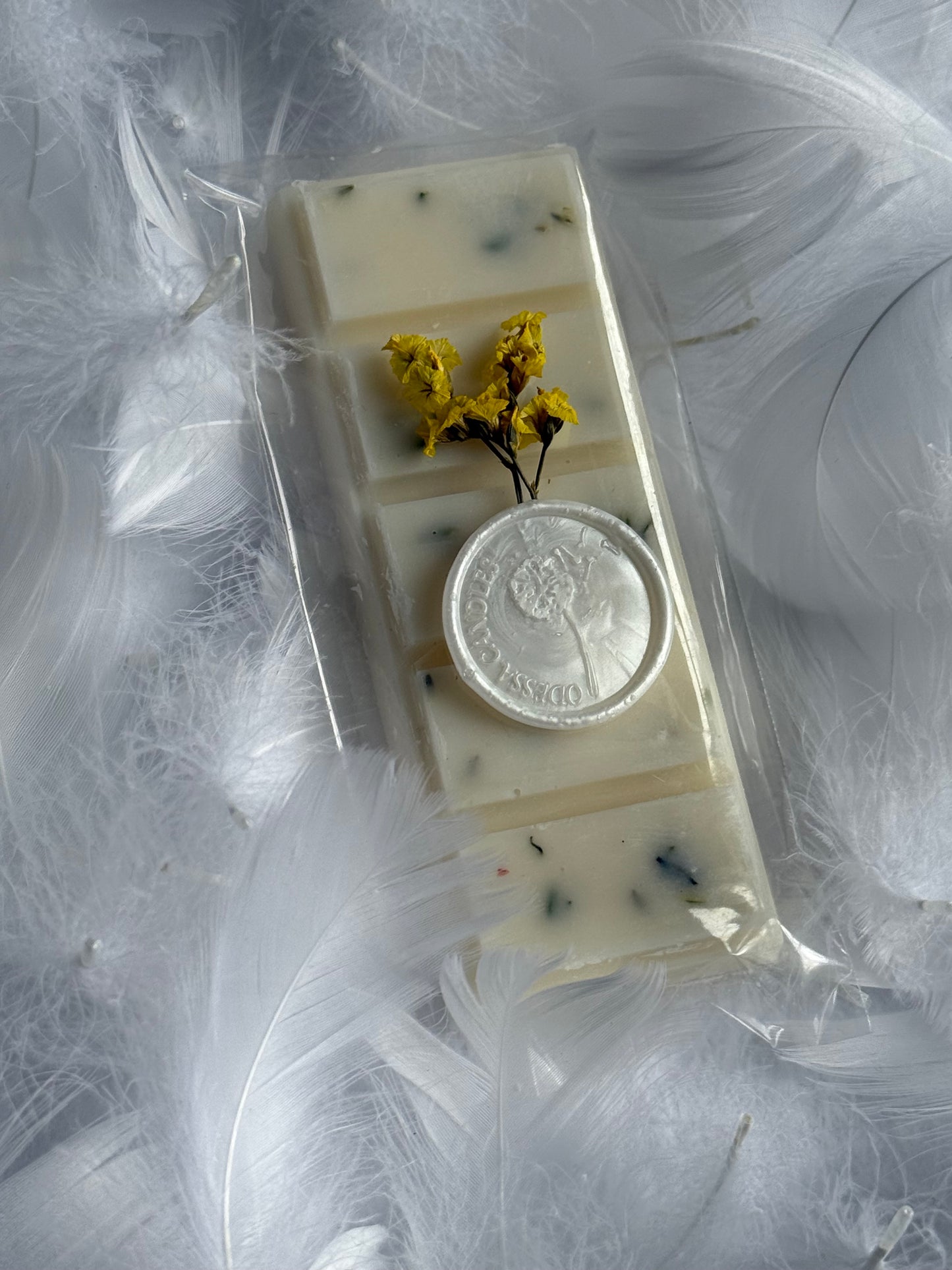 Vanilla Wax Melt (Set of 2)