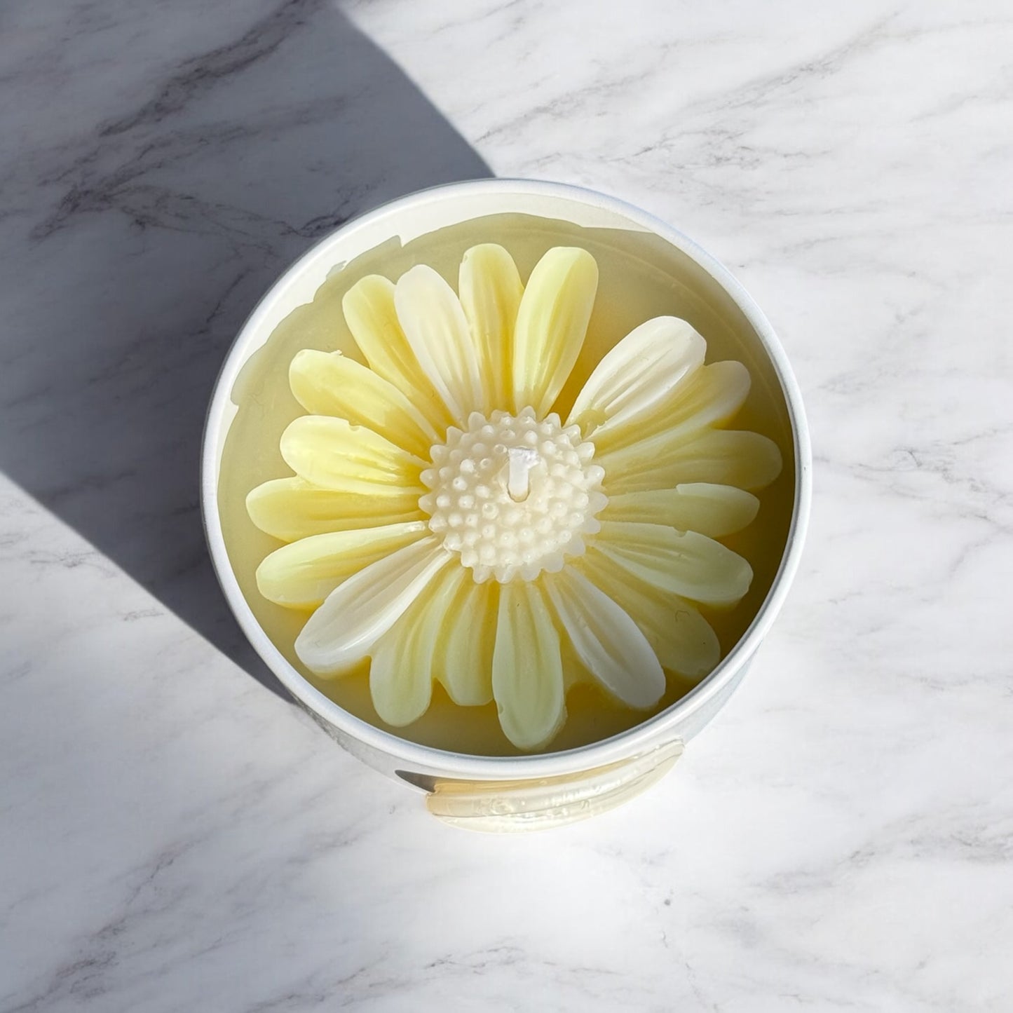 Spring Marguerite