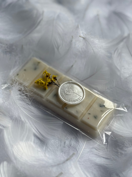 Vanilla Wax Melt (Set of 2)