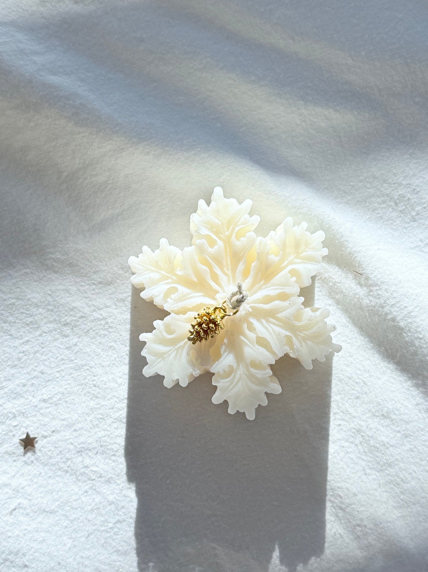 Golden Snow Carousel