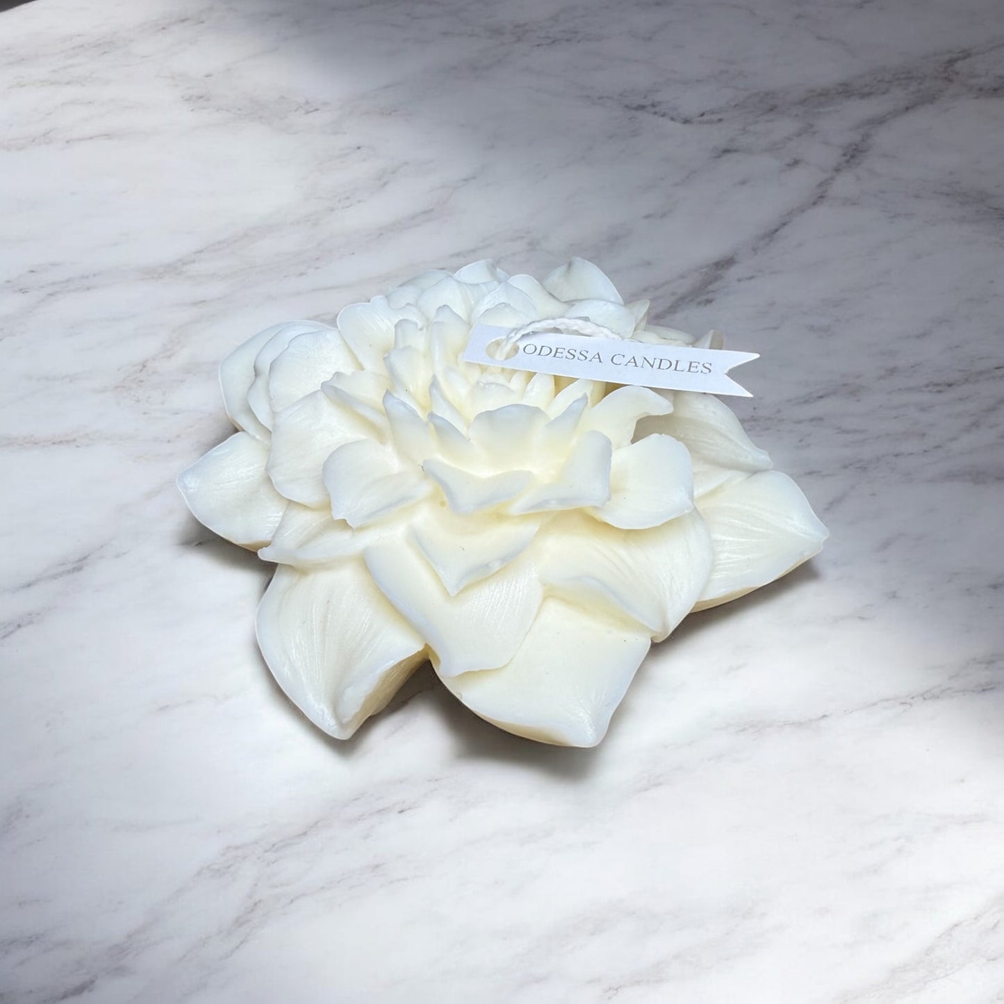 Moonflower