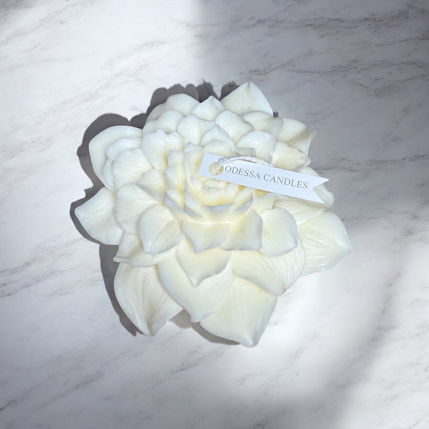 Moonflower