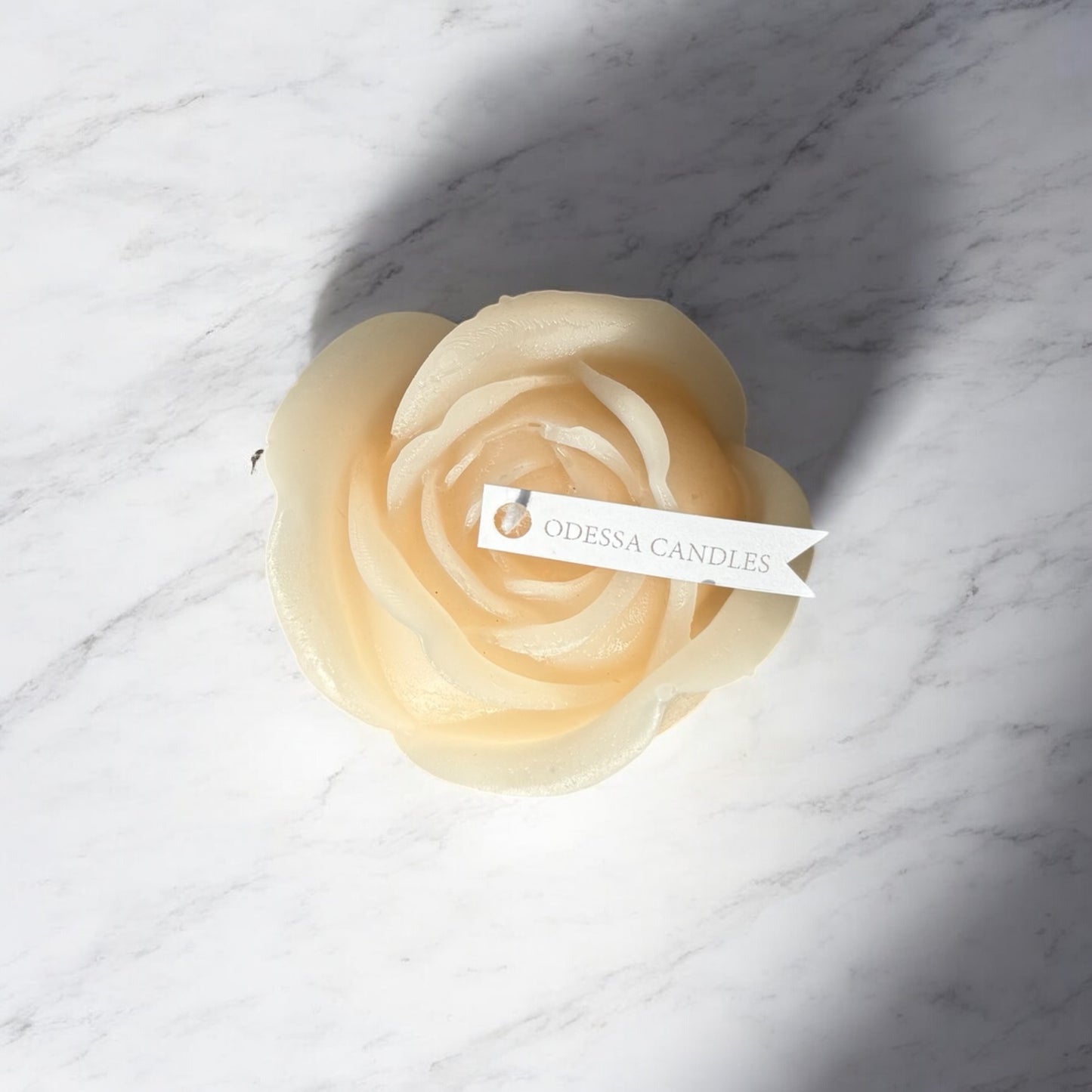 Ivory Rose