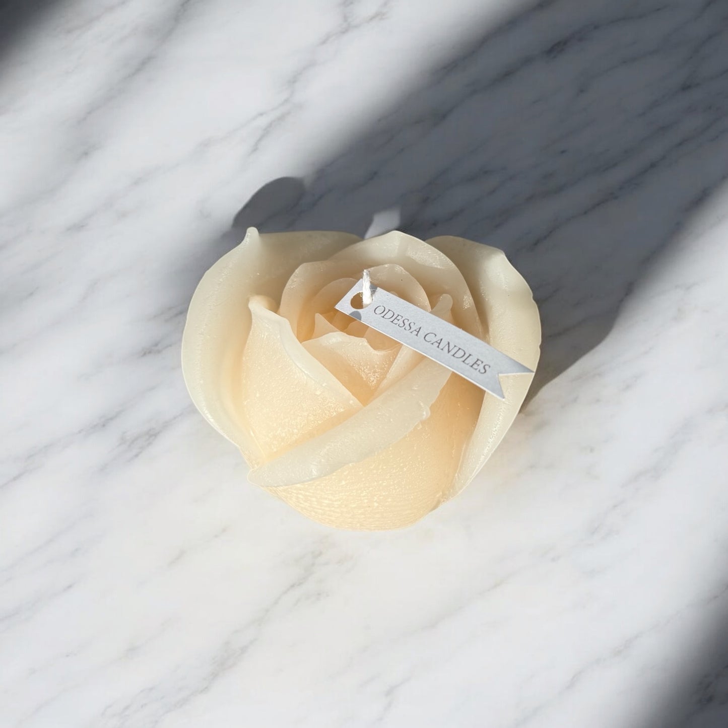 Ivory Rose